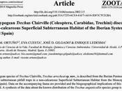 Nueva especie descubierta España