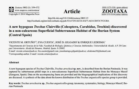 Nueva especie descubierta en España