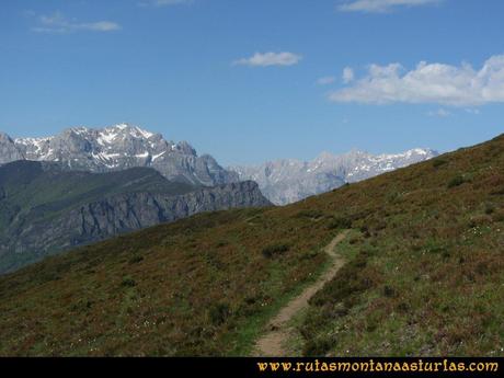 Transcantábrica Tarna-Ponga: De camino al Pontón con los picos de europa de frente