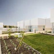 ALCABIDECHE 41 ALCABIDECHE 41