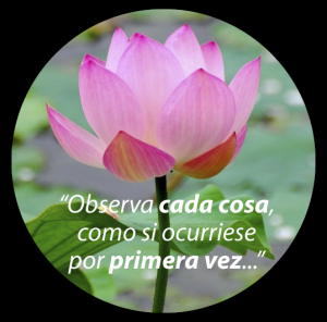Mindfulness. Algo para no perder los nervios con el nuevo parlamento europeo? Observa-cada-cosa-como-si-ocurriese-por-primera-vez