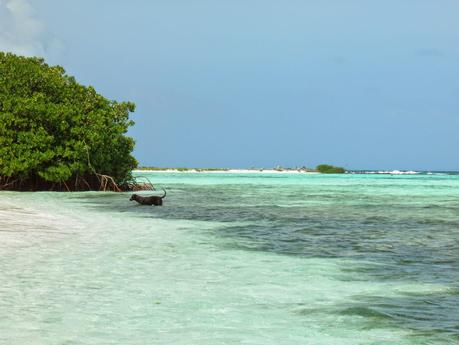 Los Roques - Venezuela - EL Paraiso