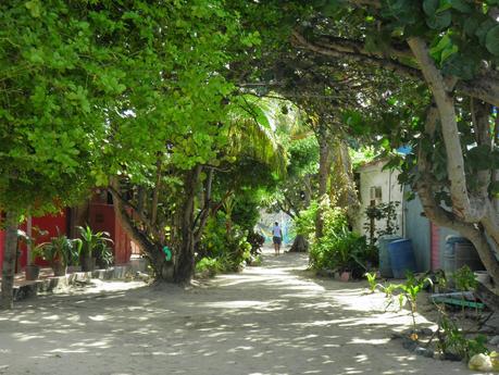 Los Roques - Venezuela - EL Paraiso
