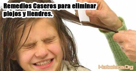 Remedios caseros para eliminar piojos y liendres