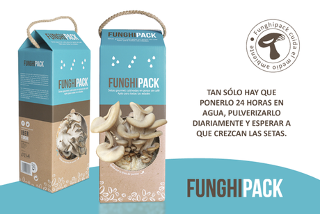 SETAS IBERFUNGHI CON AJITOS Y PEREJIL, Cultivadas en casa.