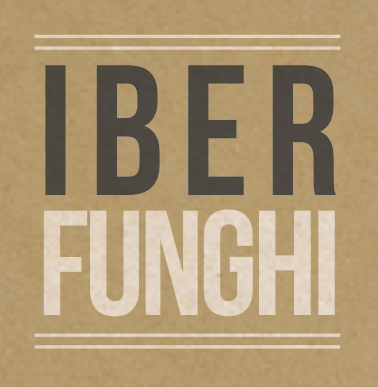 SETAS IBERFUNGHI CON AJITOS Y PEREJIL, Cultivadas en casa.