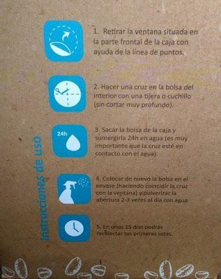 SETAS IBERFUNGHI CON AJITOS Y PEREJIL, Cultivadas en casa.