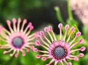 Looks Street: Cangrejeras