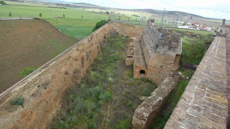 LA REAL ACADEMIA DE SAN FERNANDO Y LOS DESTROZOS EN OLIVE...