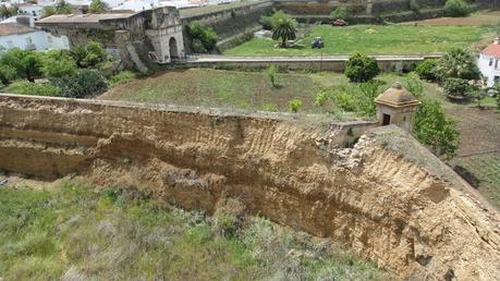 LA REAL ACADEMIA DE SAN FERNANDO Y LOS DESTROZOS EN OLIVE...