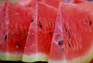 sandia