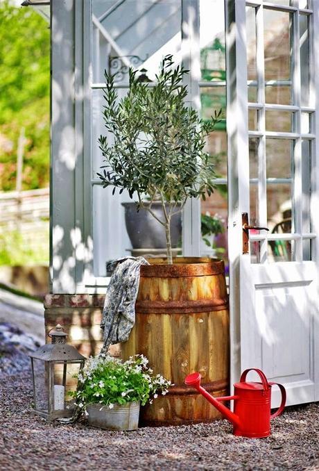 Lo que los gallegos queremos en nuestro jardín!