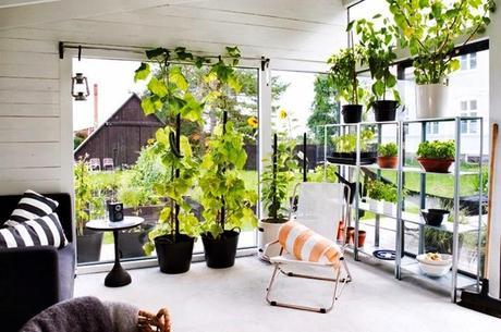 Lo que los gallegos queremos en nuestro jardín!