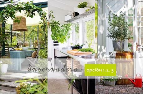 Lo que los gallegos queremos en nuestro jardín!