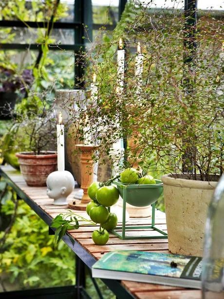 Lo que los gallegos queremos en nuestro jardín!