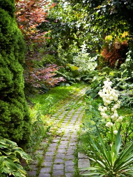 Lo que los gallegos queremos en nuestro jardín!