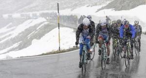 Ellos son profesionales