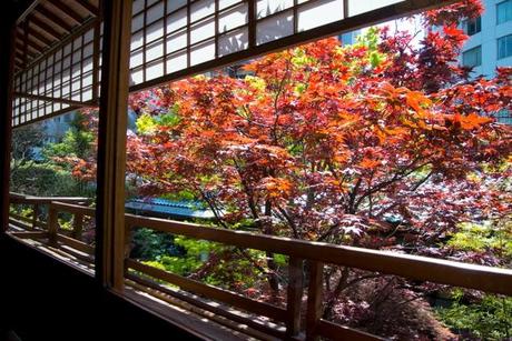 Tofuya-Ukai: Una comida tradicional en el centro de Tokio