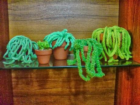 Cactus de crochet, una planta para toda la vida.