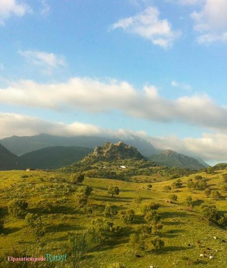 Azul: Blogger Traveller.