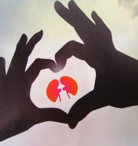 El gran rol de los riñones