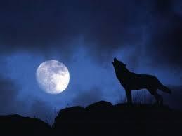 opuestos inseparables