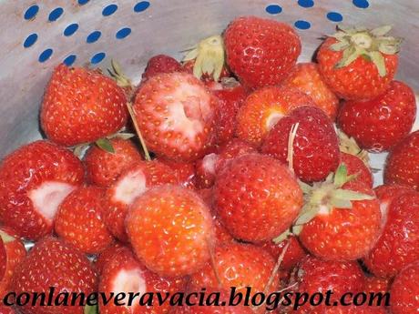 MERMELADA DE FRESAS