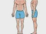 Somatotipos
