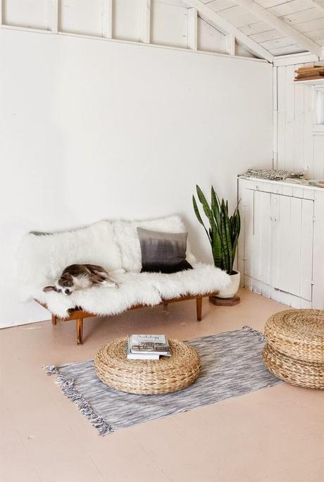 Inspírate:  Decorando un despacho con plantas naturales