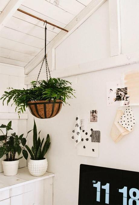 Inspírate:  Decorando un despacho con plantas naturales
