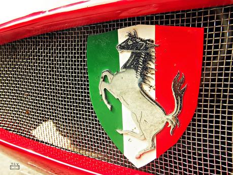 Macro del día, sin macro Macro del día, sin macro