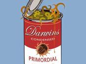 Primordial Soup