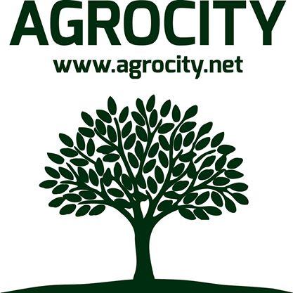 frutos secos, agrocity, blog soloyo, pipas peladas