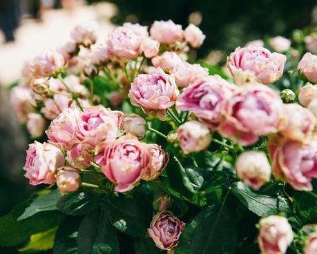 Los detalles de la boda de Andrea y Álvaro