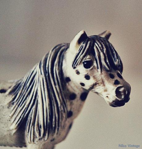 #macrodeldía ... animalitos