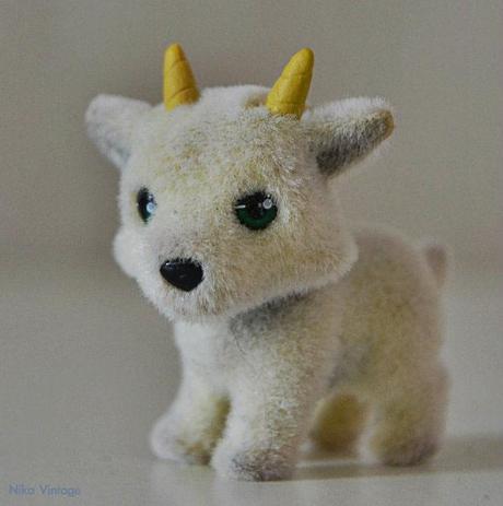 #macrodeldía ... animalitos