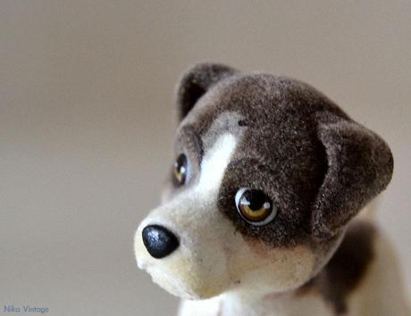 #macrodeldía ... animalitos