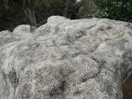 Pedra de les Creus. Serralada Litoral