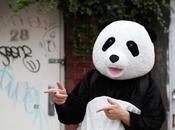 Panda Update Reacciones