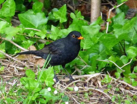 HAZ DE TU ENEMIGO UN ALIADO