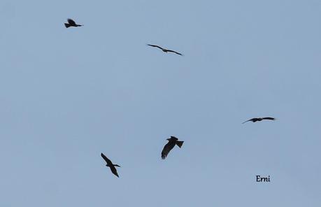 HAZ DE TU ENEMIGO UN ALIADO