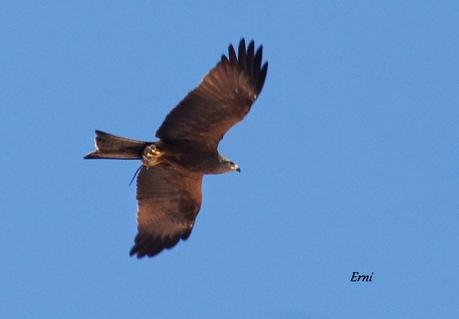 HAZ DE TU ENEMIGO UN ALIADO