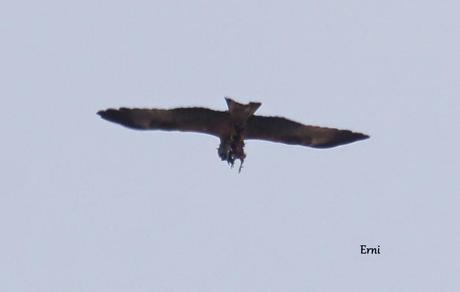 HAZ DE TU ENEMIGO UN ALIADO