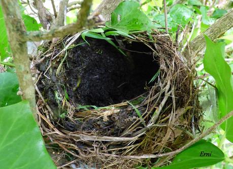 HAZ DE TU ENEMIGO UN ALIADO