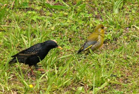 HAZ DE TU ENEMIGO UN ALIADO
