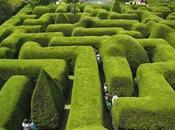 auténtico galimatías