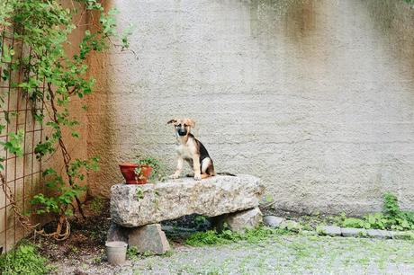 Vivir en menos de 50 metros