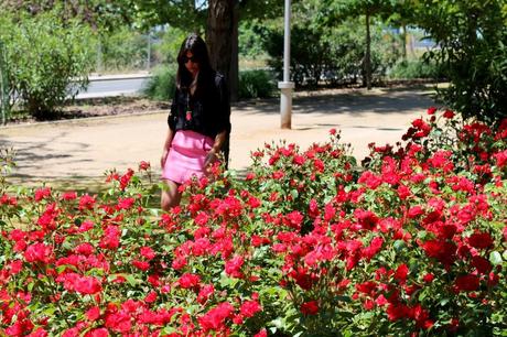  photo faldarosa1_zps62643ea5.jpg