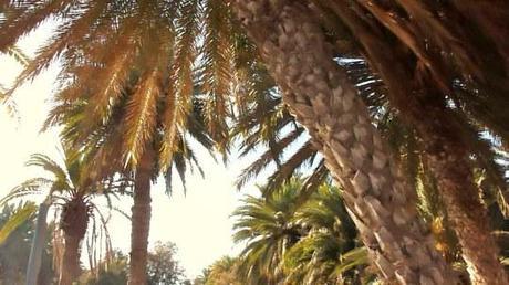 5 Lugares Imprescindibles en una visita a Gran Canaria P1030583