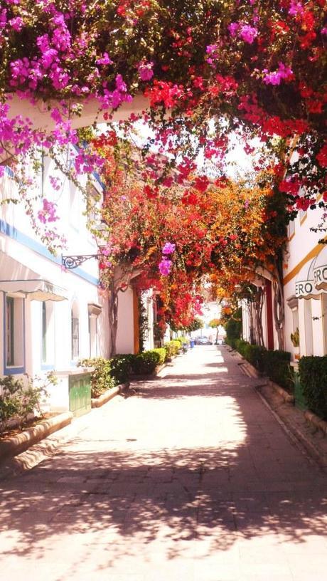 5 Lugares Imprescindibles en una visita a Gran Canaria Puerto de Mogán